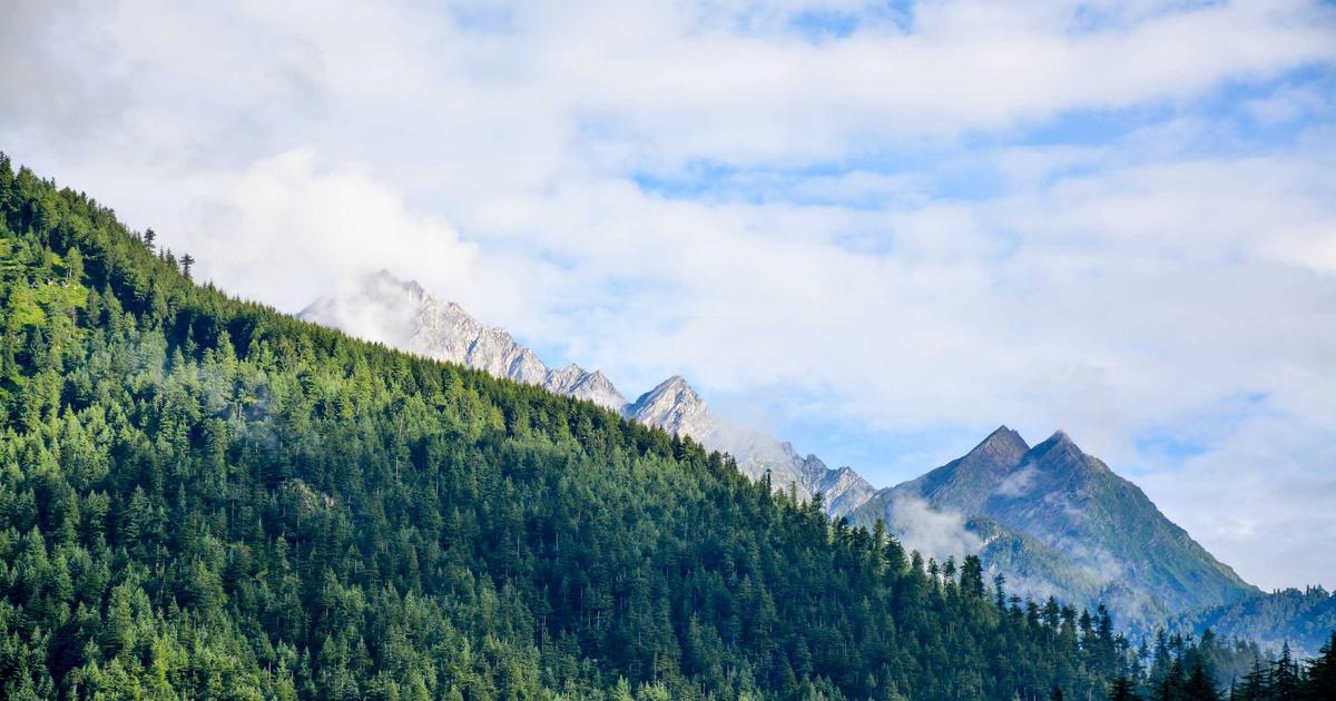 eco friendly consumption, sustainable living, green products