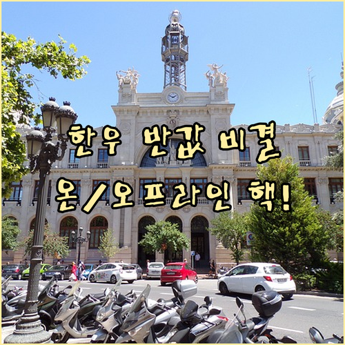 한우 50% 할인 구조 해부와 온오프..
