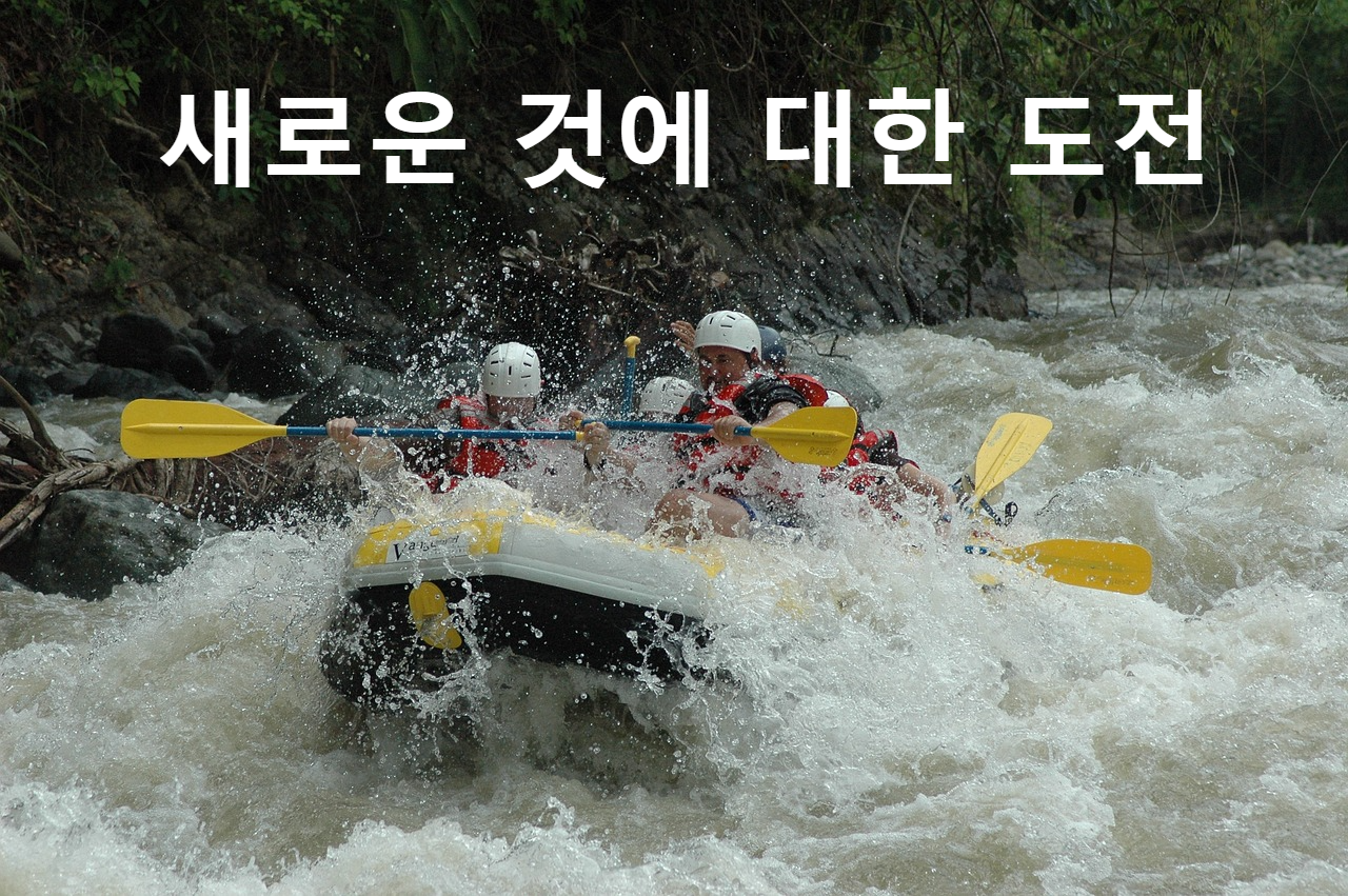 새로운 것에 대한 도전