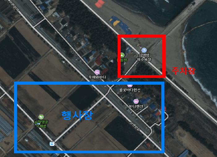 삼척 맹방유채꽃축제장 바다 주차위치