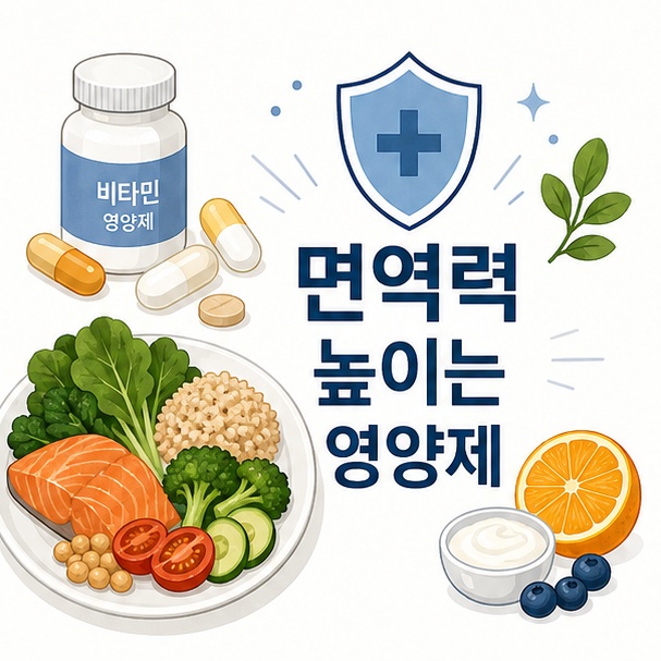 영양제와 균형 잡힌 식사를 이용해 면역 기능을 위한 영양 관리의 기본 개념을 소개하는 그림