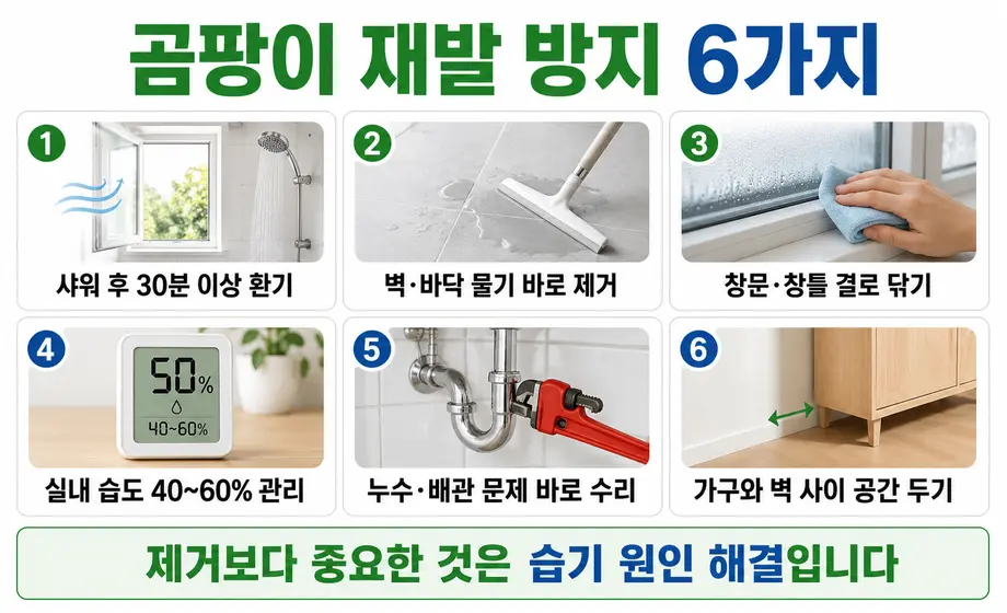 환기와 습도 관리 등 곰팡이 재발 방지 방법 6가지