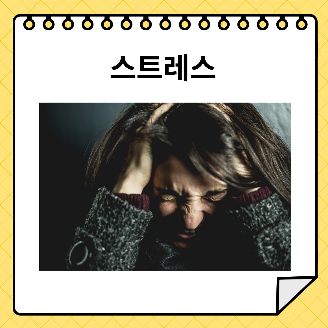 스트레스