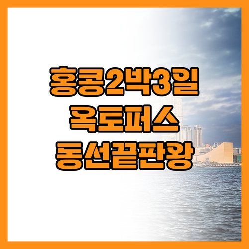 홍콩 2박3일 여행 코스 옥토퍼스 카..
