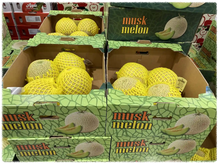 코스트코-할인-7월-셋째주-상품-안내