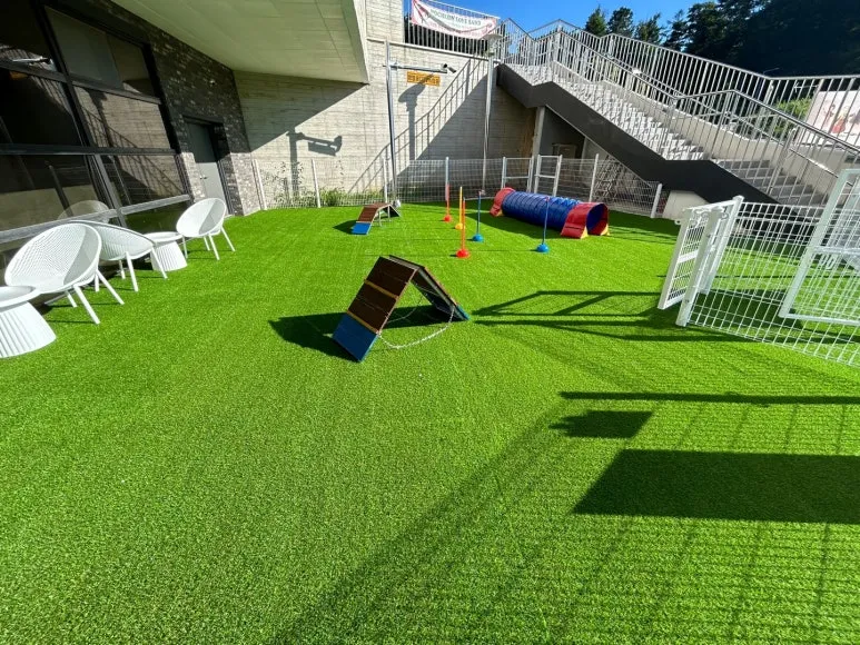 포천 반려견 동반 놀이터