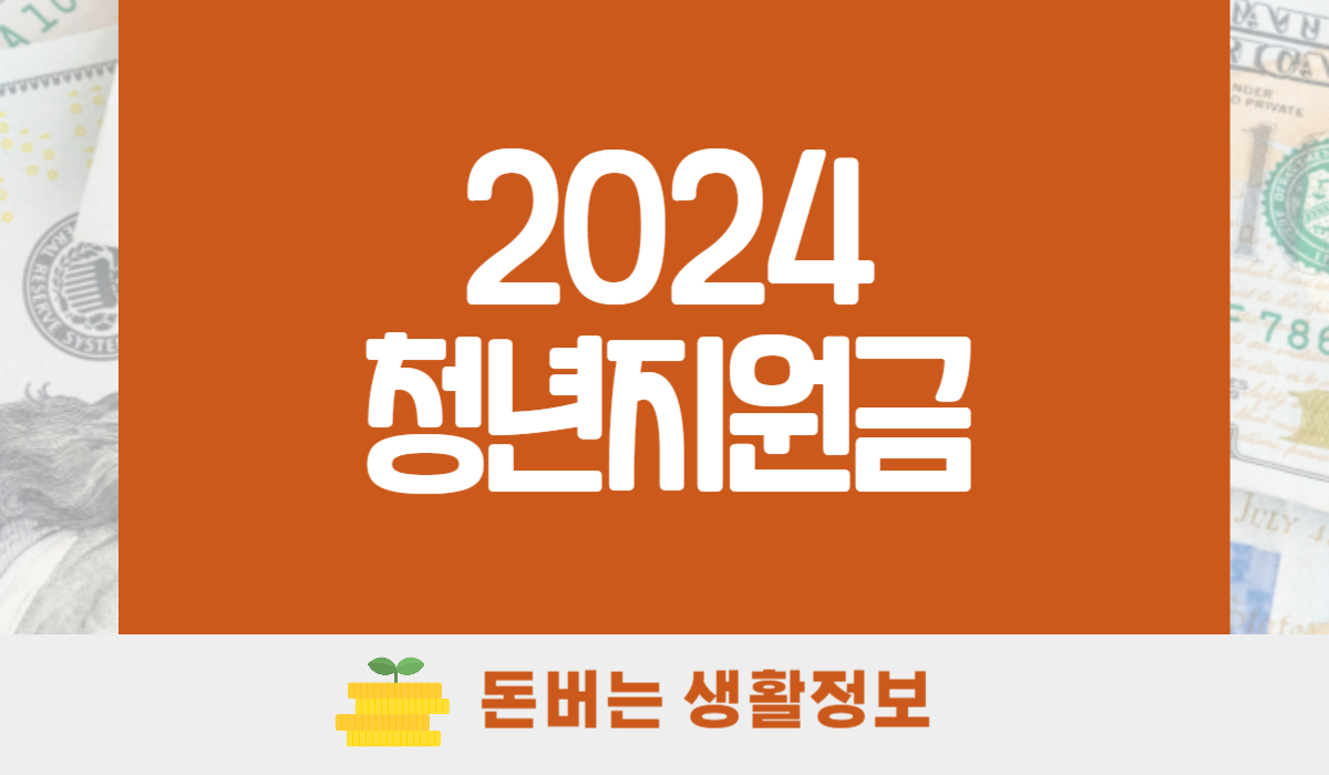 2024년 청년지원금