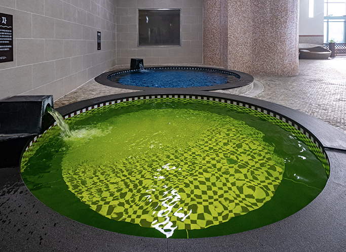 겨울 국내 추천 여행지 BEST5 12