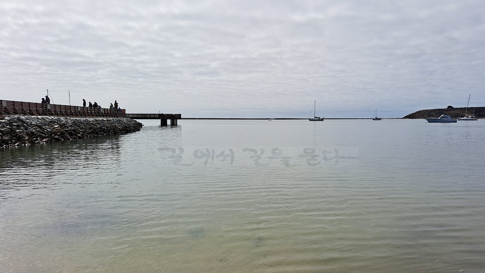 하프 문 베이(Half Moon Bay)