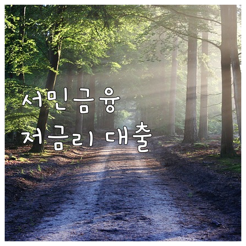 2025년 서민금융 최저신용자 특례보..