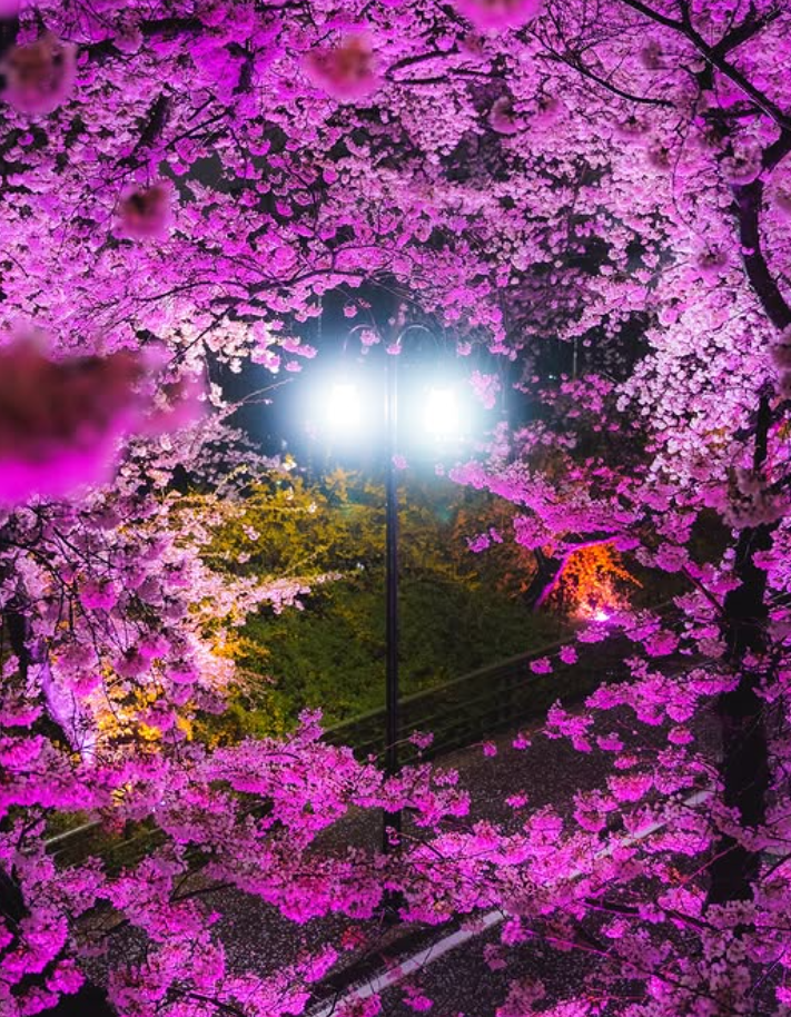 대구 이월드 자유이용권 할인