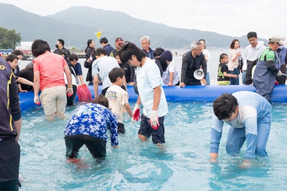 남해 미조항에서 만나는 봄, 2025 보물섬 해산물축제❘기간, 프로그램 및 공연 일정