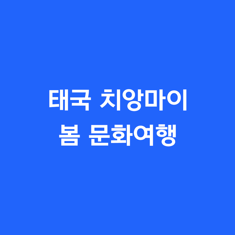 태국 치앙마이 봄 문화여행