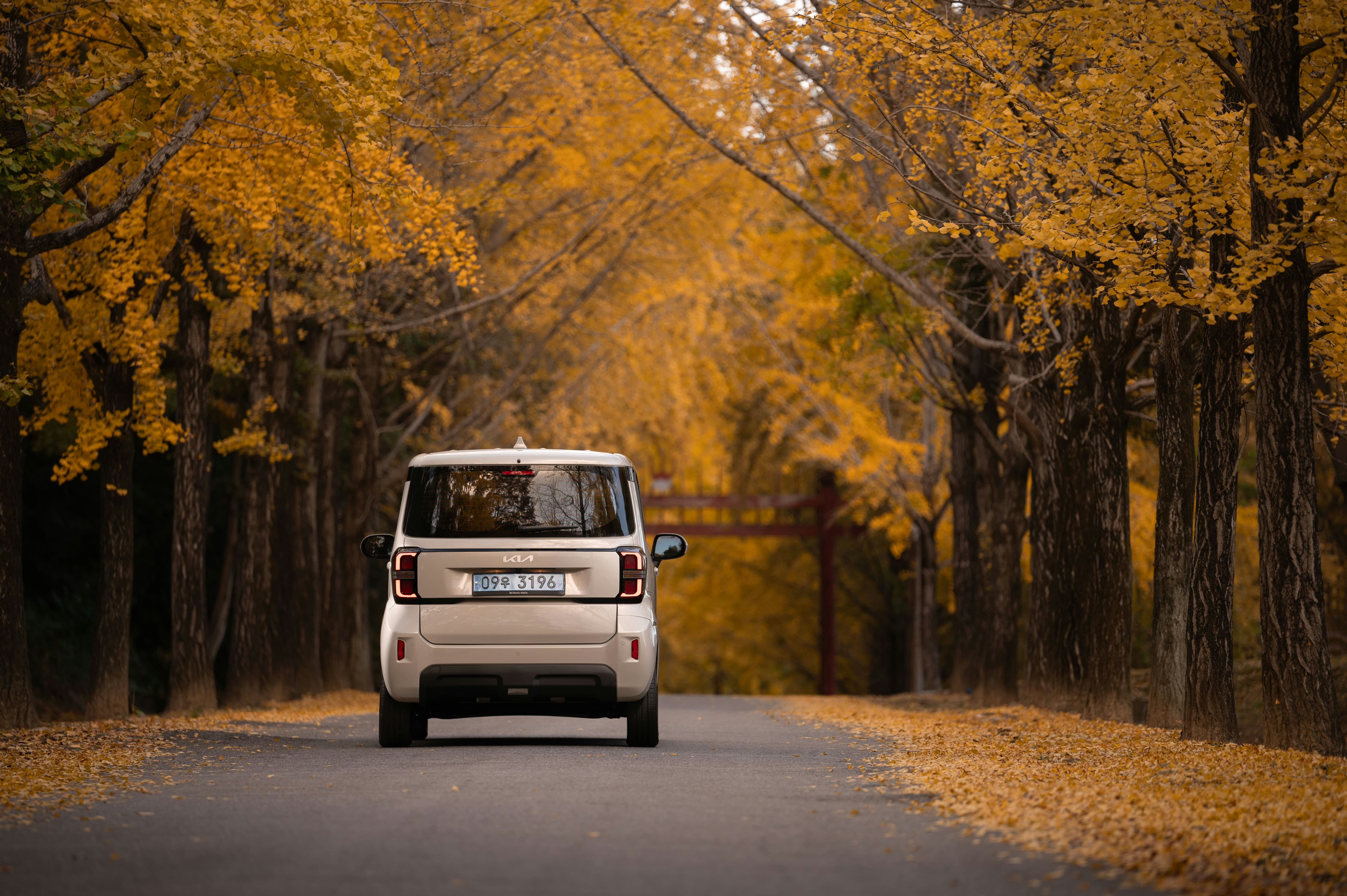 2025년 보조금으로 살 수 있는 2천만 원 이하 전기차 추천