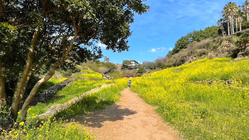 중문 미라지 올라가는 길5