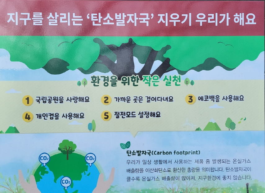 나무, 이산화탄소, 환경살리기