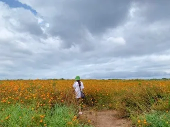 제주 가파도 가는 운진항 배 시간표 요금 예약 예매_14