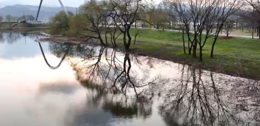 남양주 물의정원 메타세쿼이아길