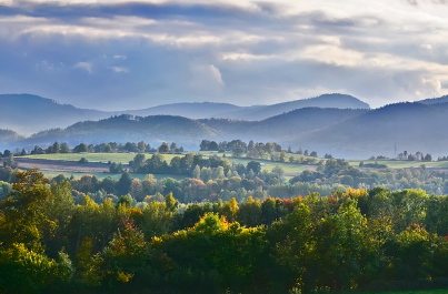 자연휴양림의 풍경