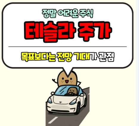 테슬라 주가 기회 위기