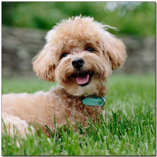 μλμ κ°μ νΈλ€