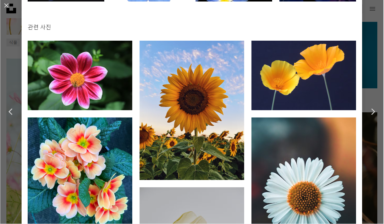 무료 이미지 사이트