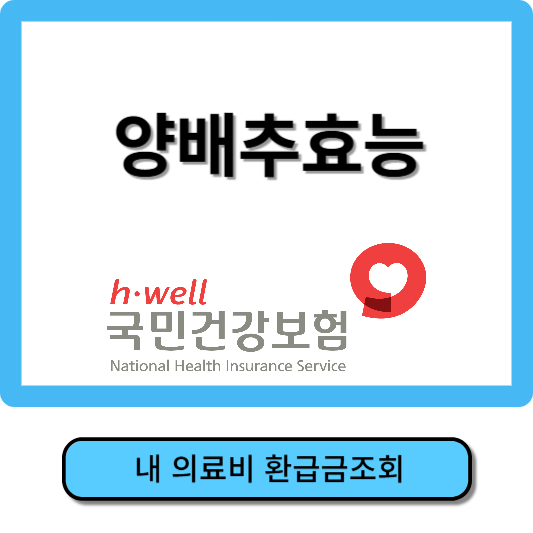 양배추 효능, 먹는방법