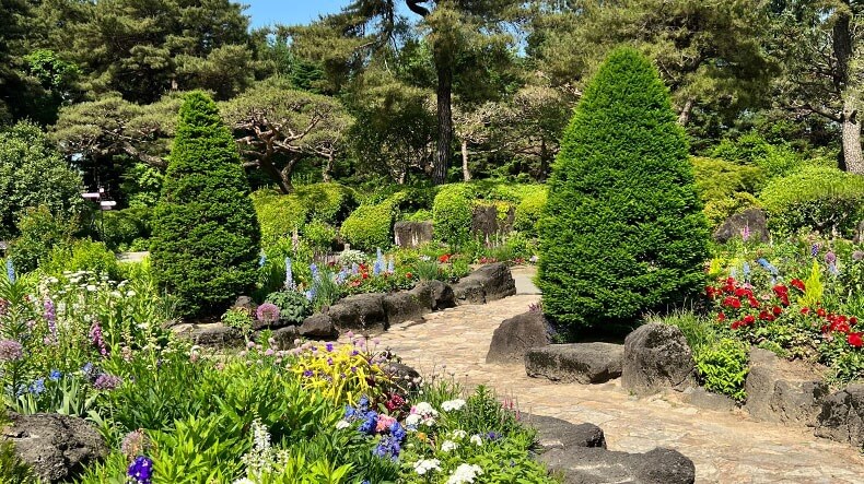 파주 벽초지 수목원 수국