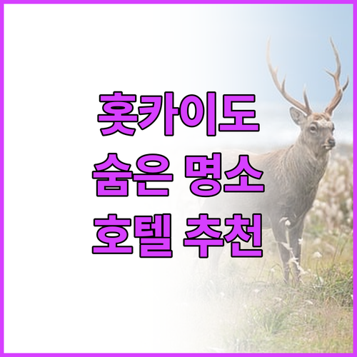 나만 알고 싶은 홋카이도 숨은 명소 ..