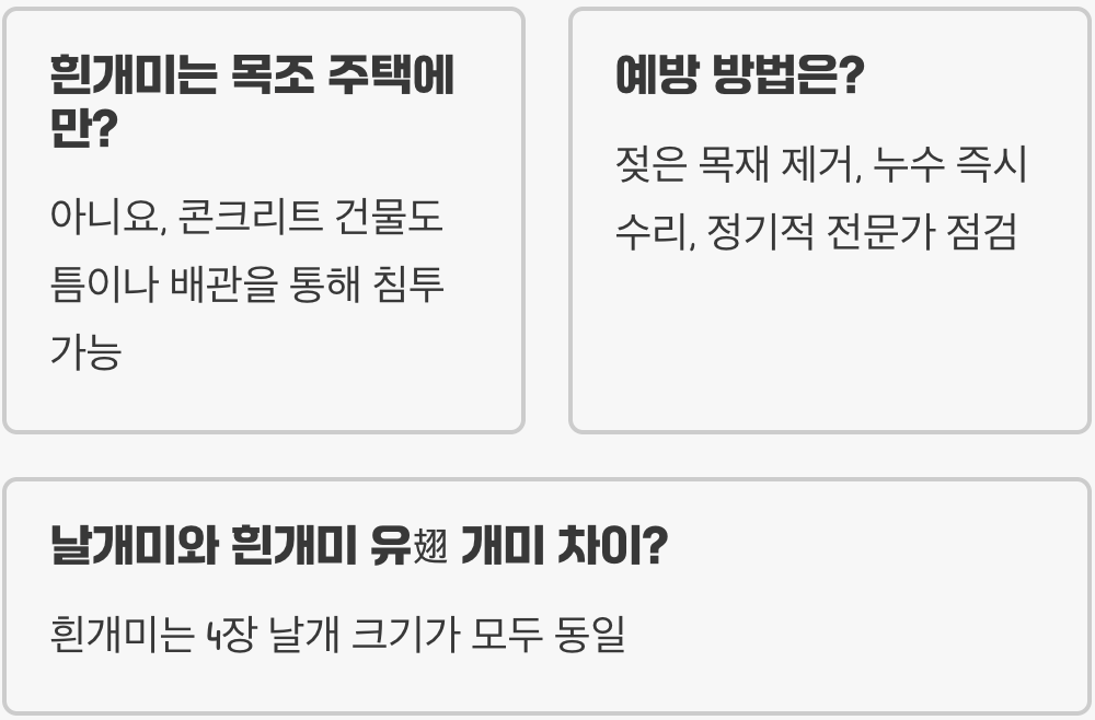 흰개미 한 마리, 우리 집 기둥 뿌리 뽑습니다 (초기 발견법)