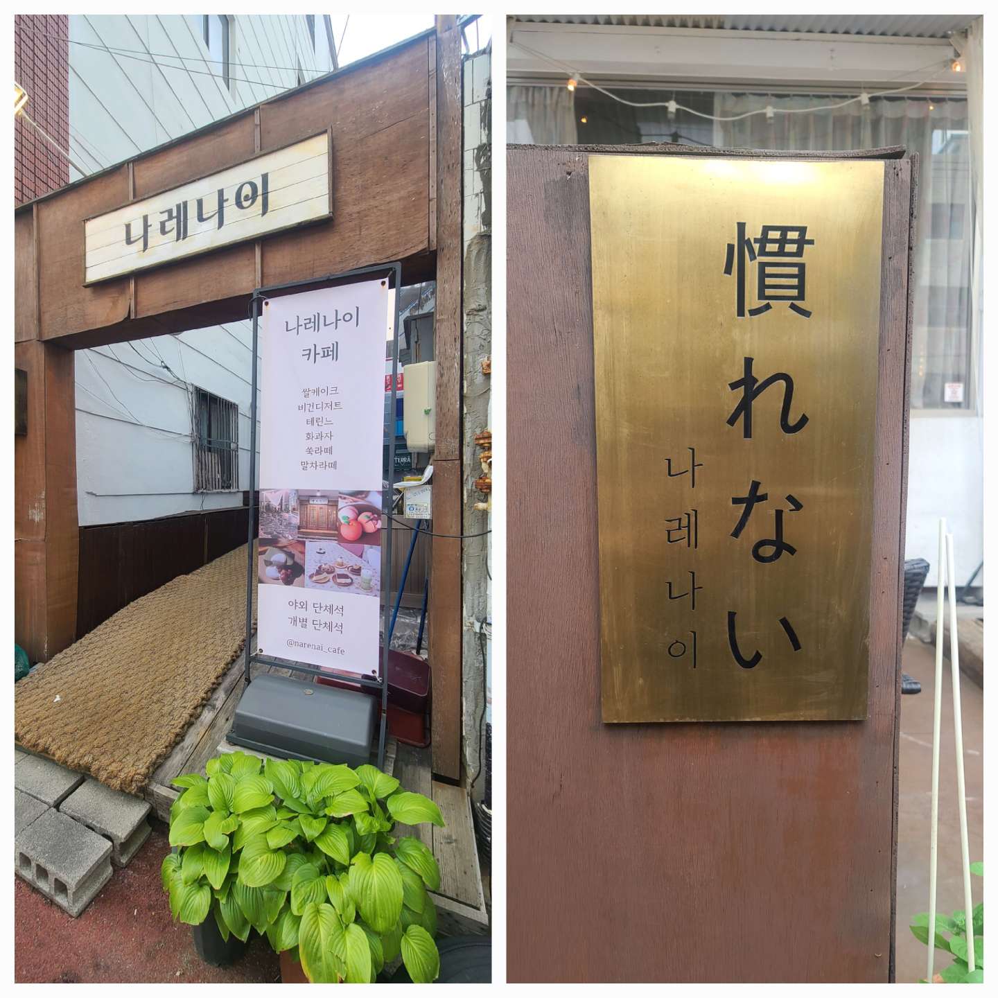 나레나이 입구 사진