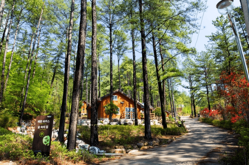 광양 백운산 자연휴양림