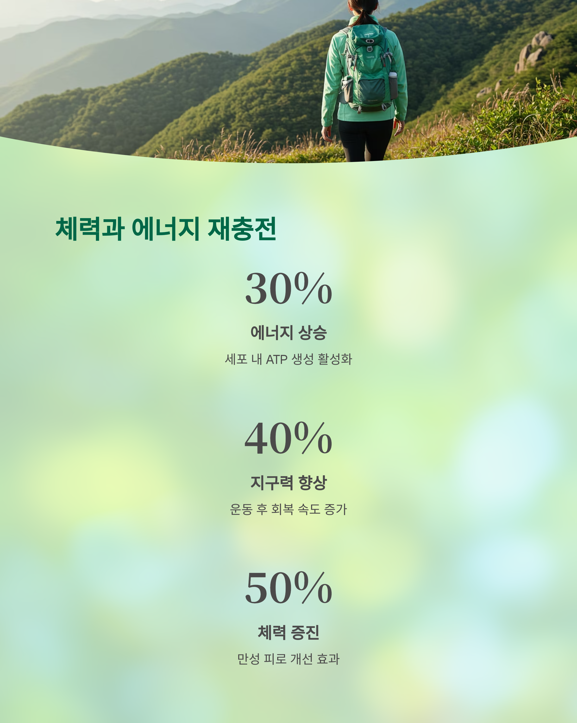 산삼은 단순한 보약이 아닌 ‘면역 복원제’