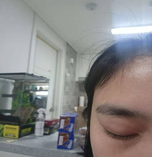 예일의원