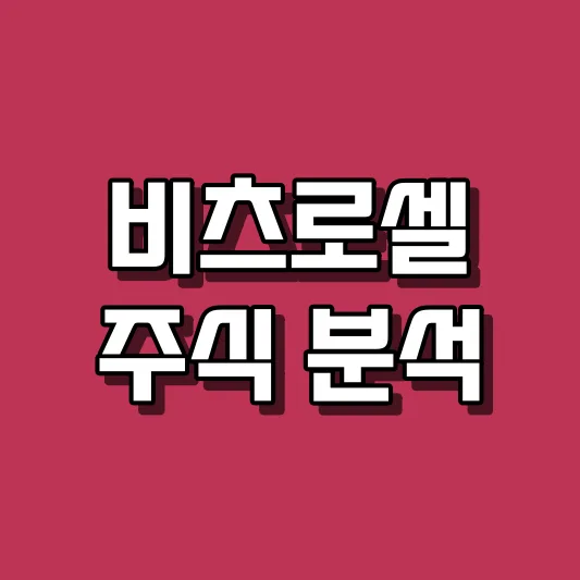 비츠로셀 주식 분석