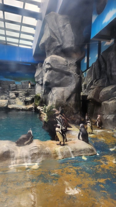 아쿠아플라넷 제주