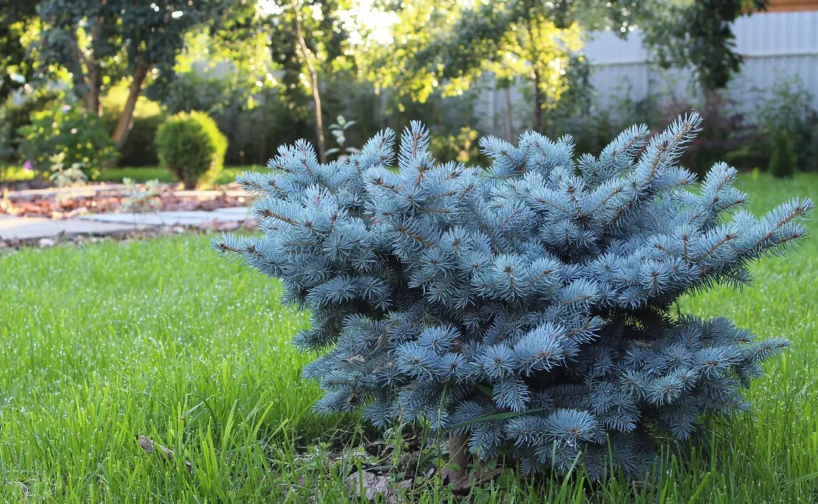 손해평가사 시험일정 시험과목 합격률