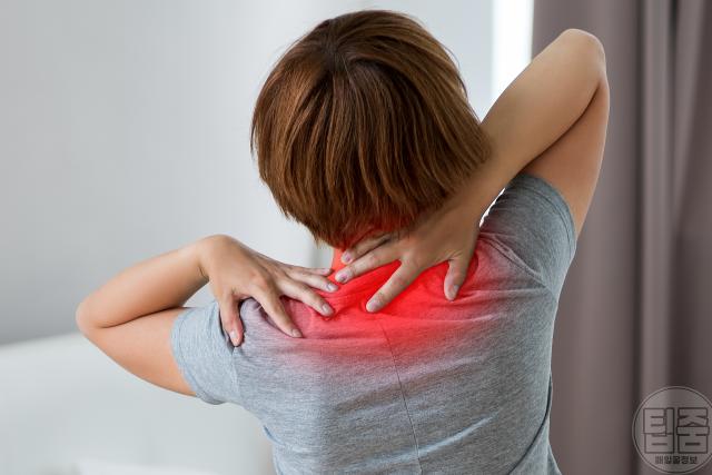 목디스크 증상 자가진단 어깨가 뻐근 등통증,팁줌