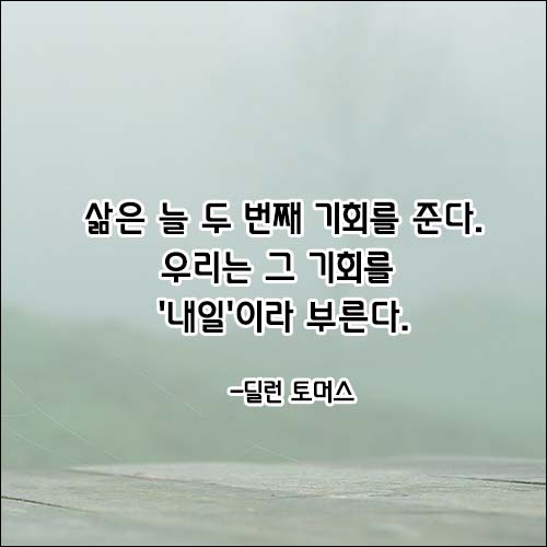 한줄-명언