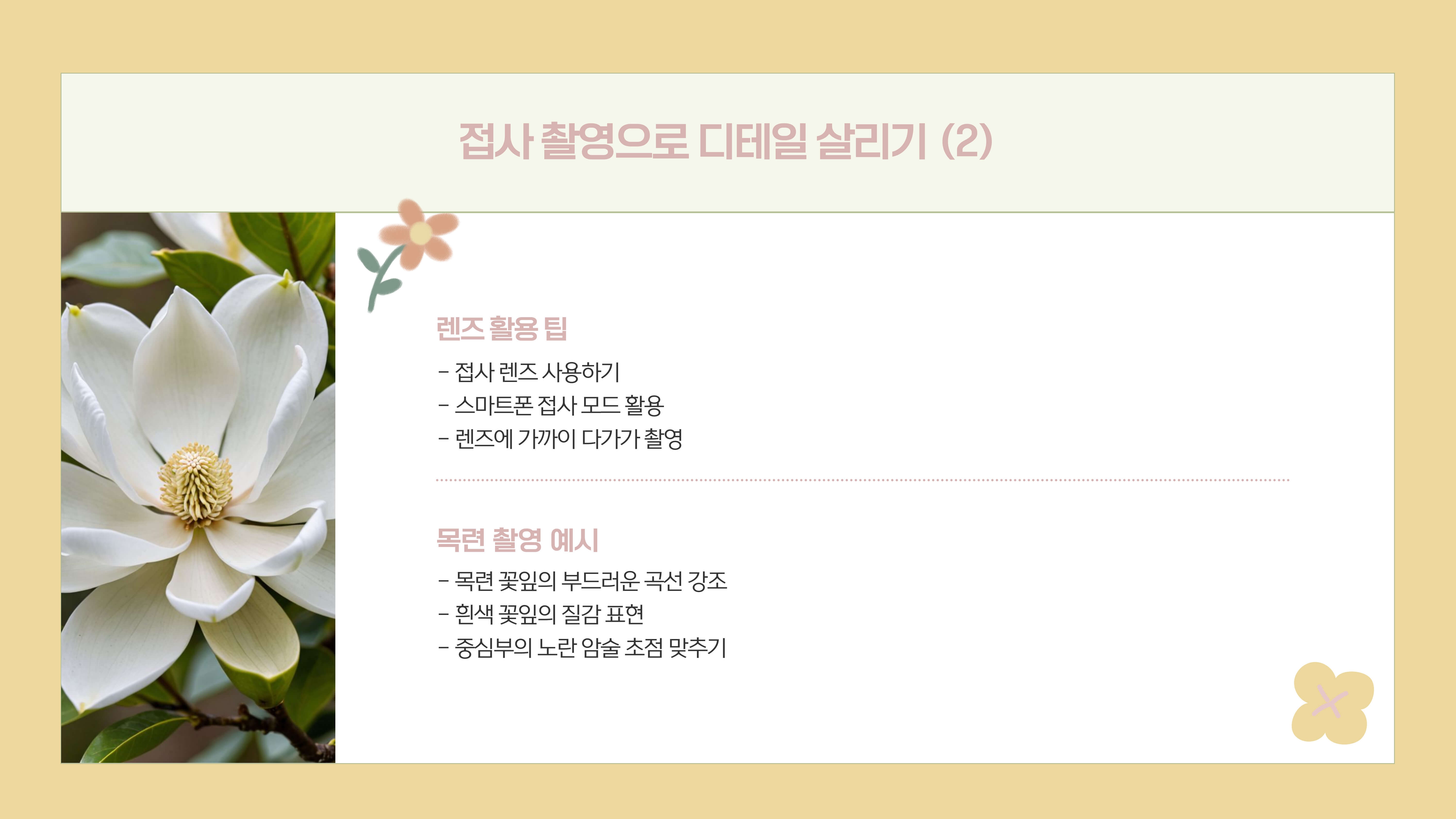 화담숲 봄꽃 사진 촬영 팁