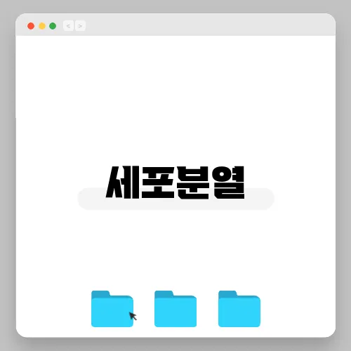 세포분열
