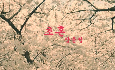 장윤정-사진