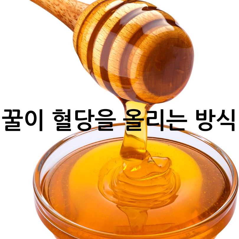 꿀과당뇨