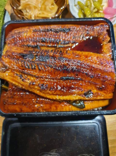 타마