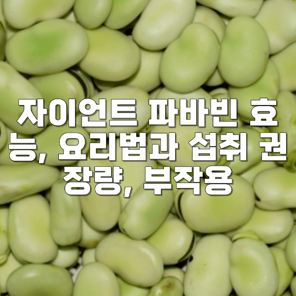 자이언트 파바빈