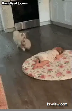 img.webp?credential=yqXZFxpELC7KVnFOS48ylbz2pIh7yKj8&expires=1767193199&allow_ip=&allow_referer=&signature=Tn8Nu9Iubs0JJoNKcurbTRwNT78%3D