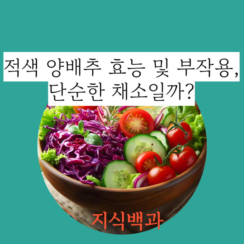 적색 양배추