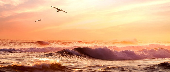 강원도 양양 낙산 해수욕장 바로가기