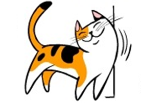 얼굴과 빰을 비비는 고양이 이미지