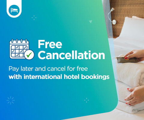 리스크를 줄이는 취소 무료 옵션 활용방법